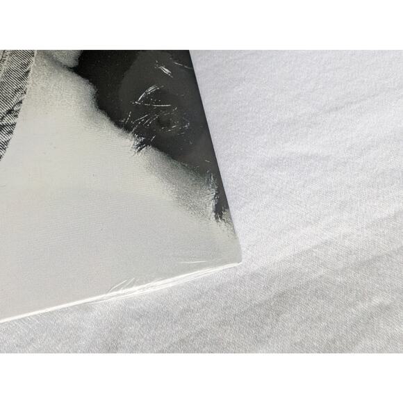 Addison Rae Diet Pepsi Vinyl Hand Signed Cover Single 7" New Sealed Autograph - Picture 8 of 16